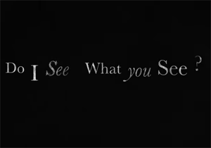 Do I see what you see?